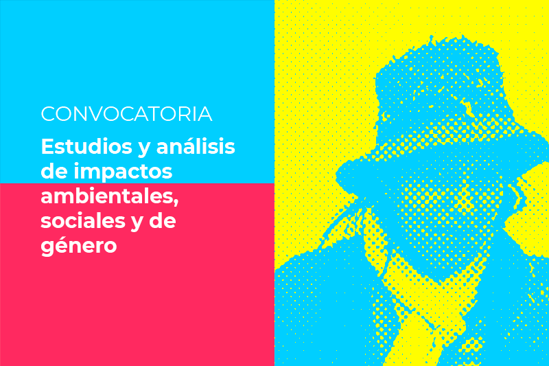 Consultoría para estudios y análisis de impactos ambientales, sociales y de género