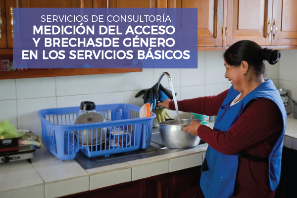 Servicios de consultoría para la medición del acceso y brechas de género en los servicios básicos