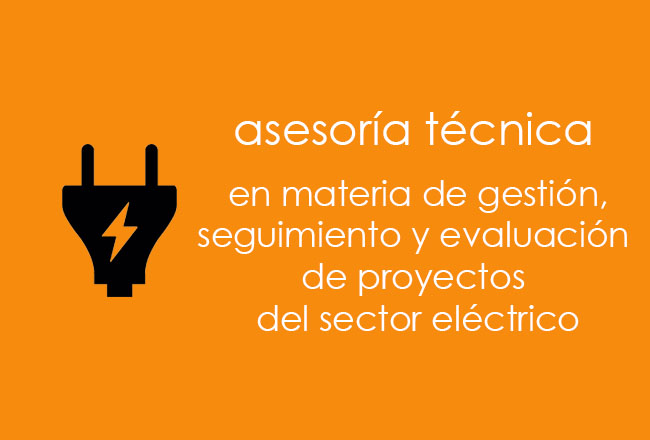 Asesoría técnica en gestión de proyectos medulares del sector eléctrico