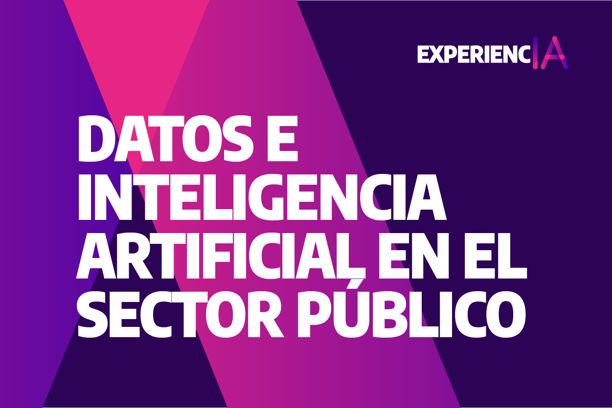 Experiencia IA