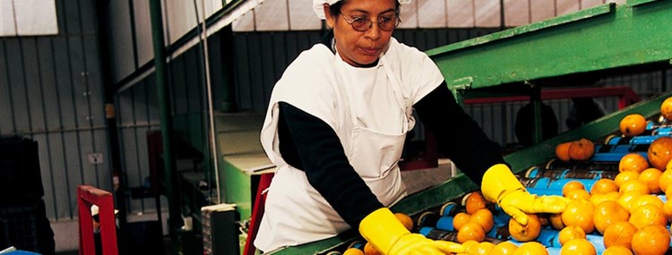Latin America: in search of more competitive SME's 