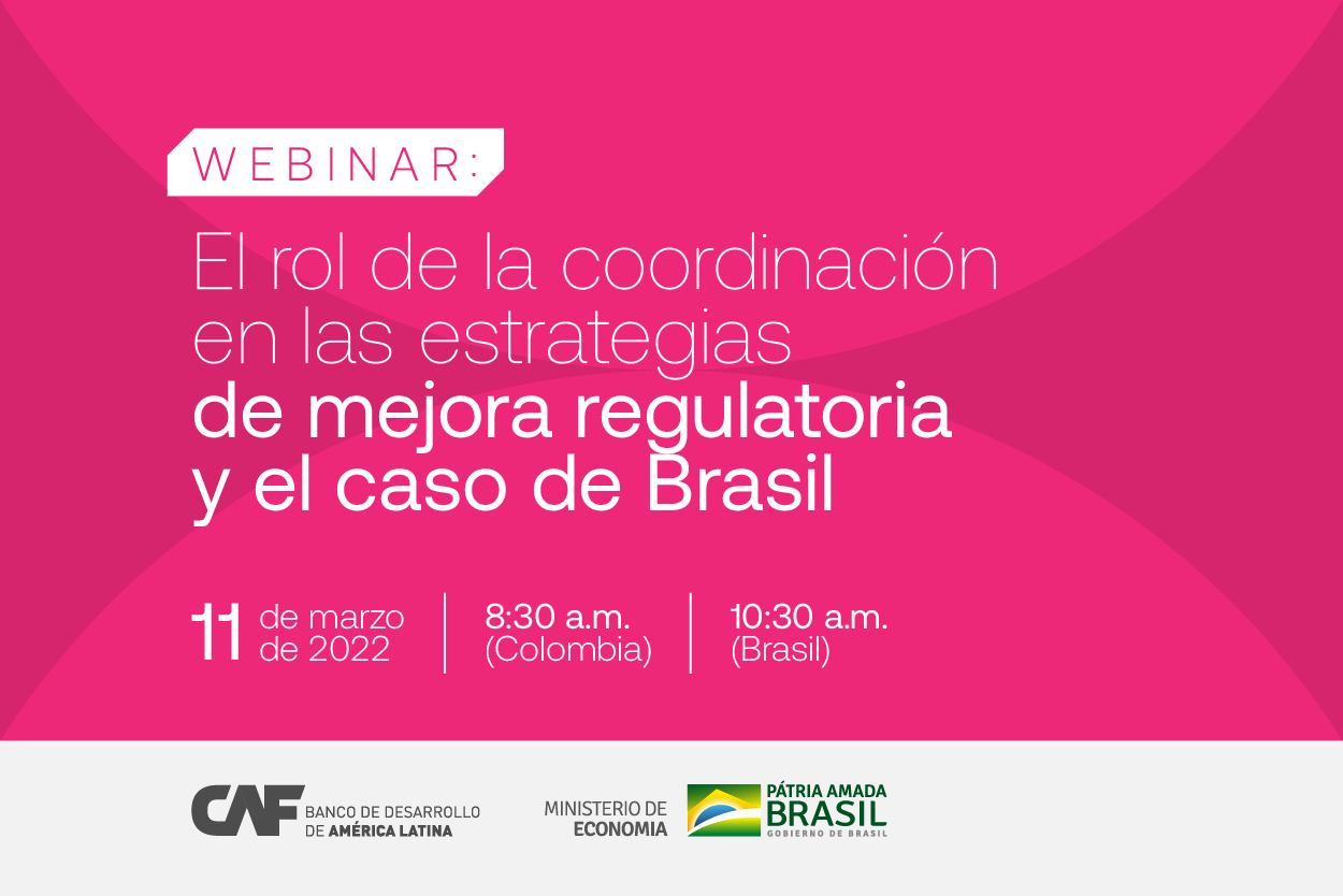 Webinar Mejora Regulatoria, Caso Brasil