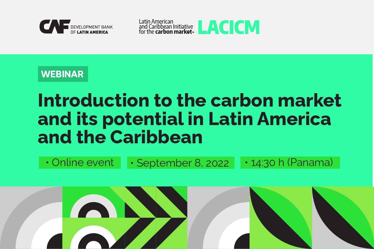 Webinar - Introduction to the carbon market