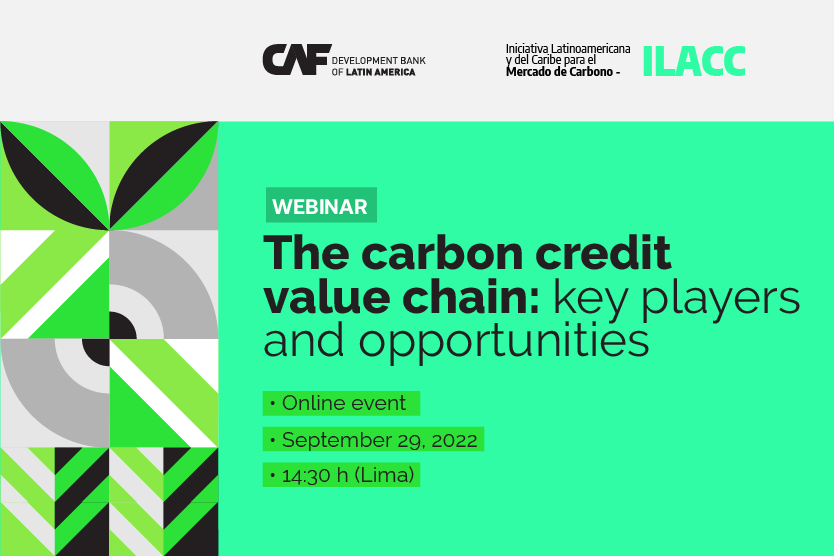 Webinar - The carbon credit value chain