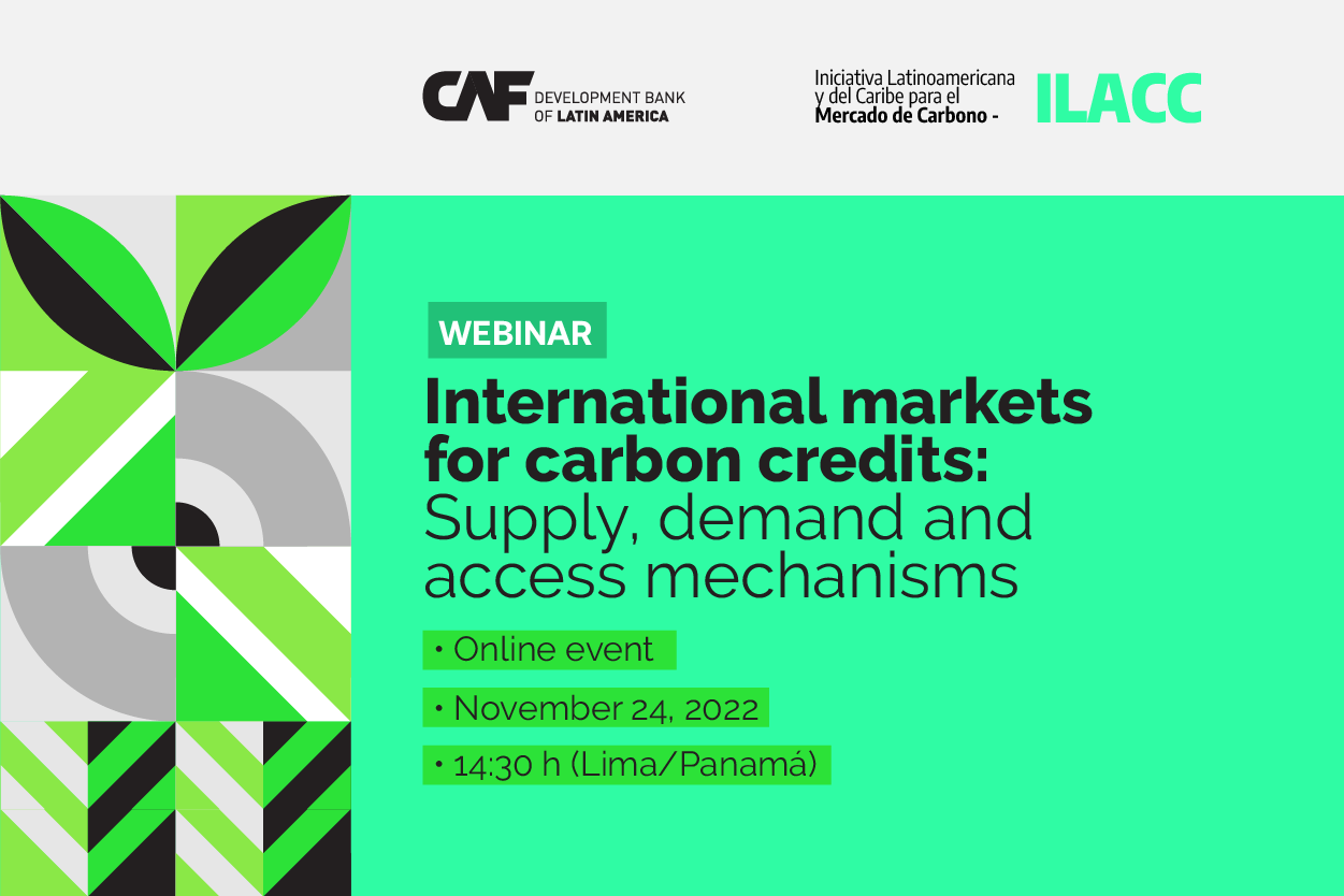 Webinar - International markets for carbon credits
