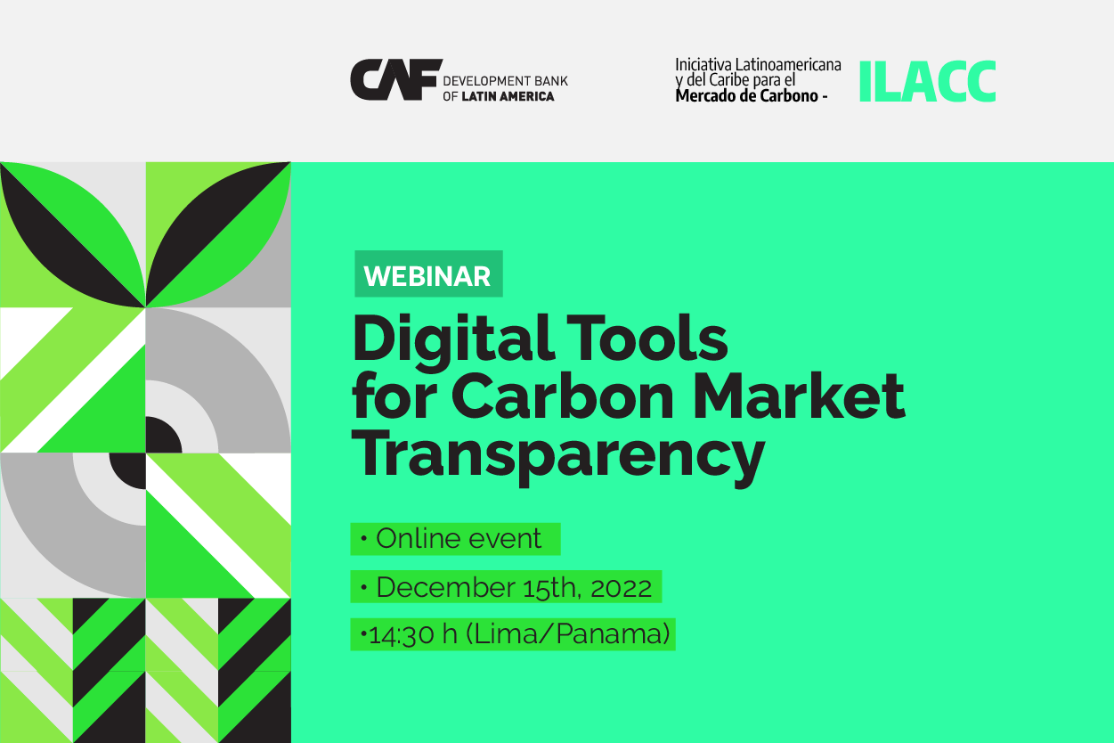 Webinar series on the carbon market