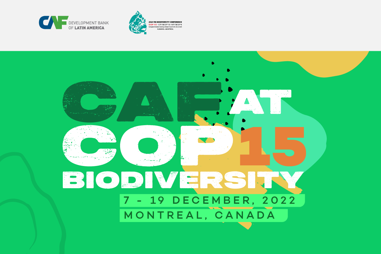 CAF at COP15