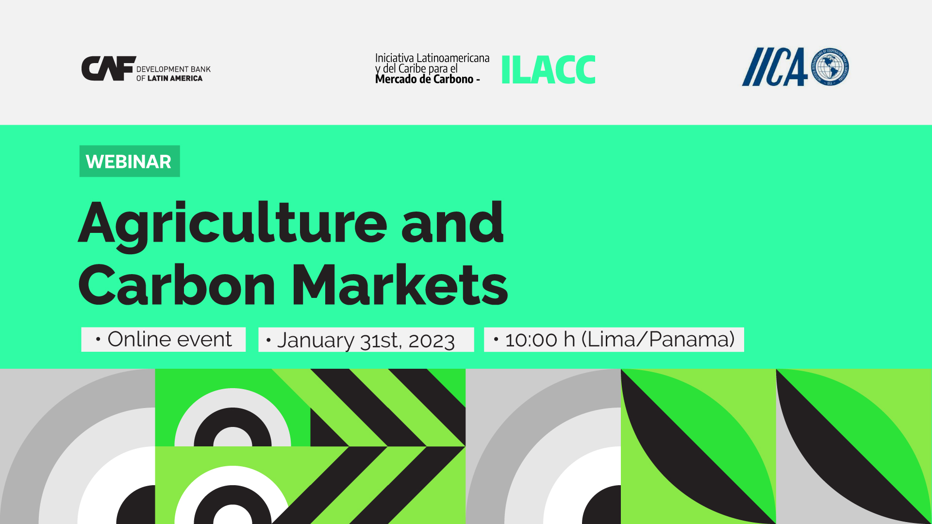 Webinar series on the carbon market