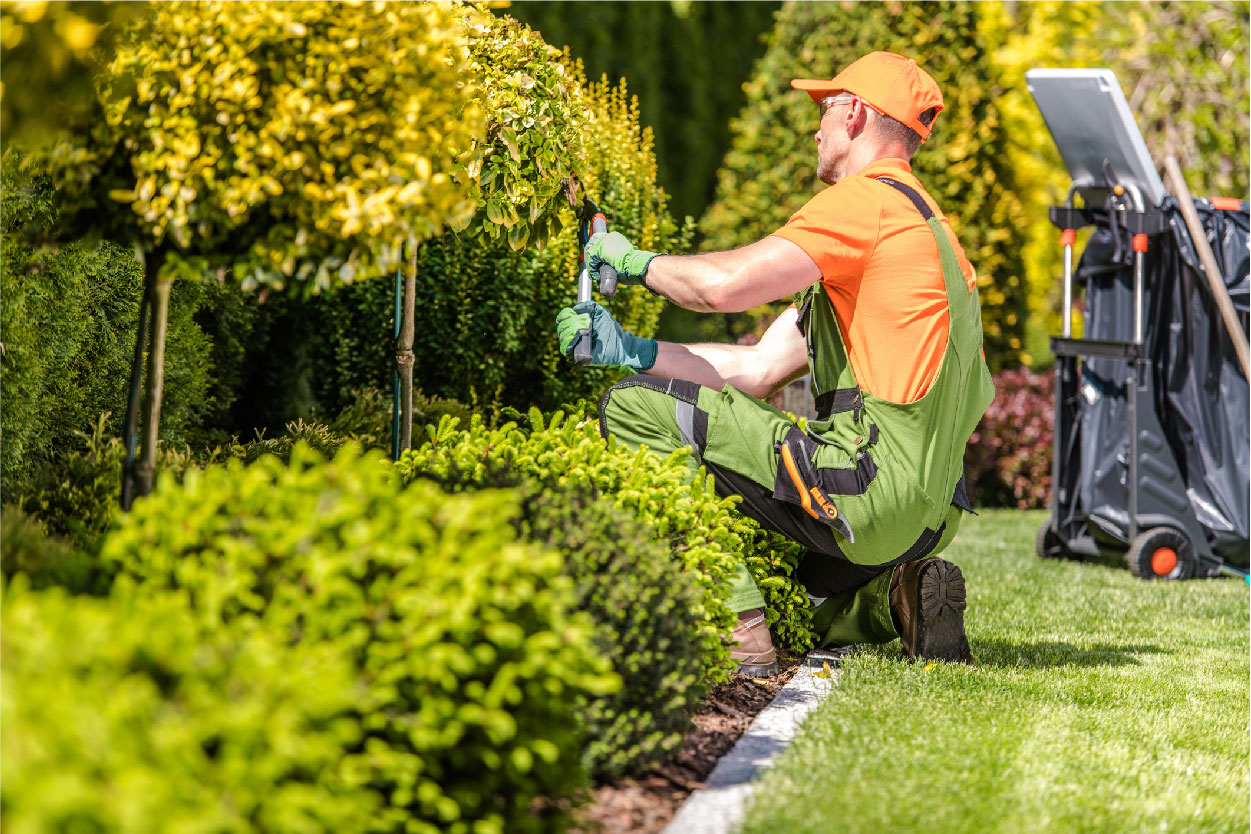Servicio de Limpieza y Jardinería Sede