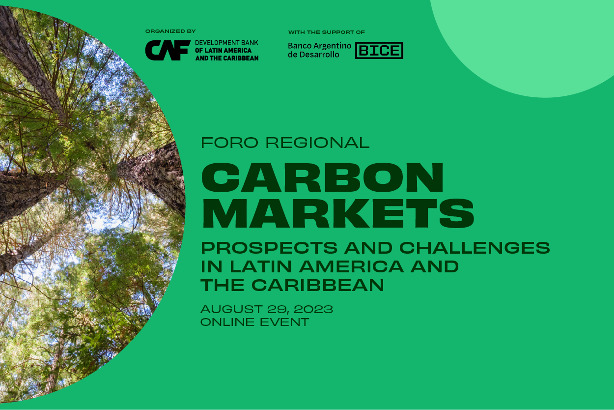 Carbon Markets