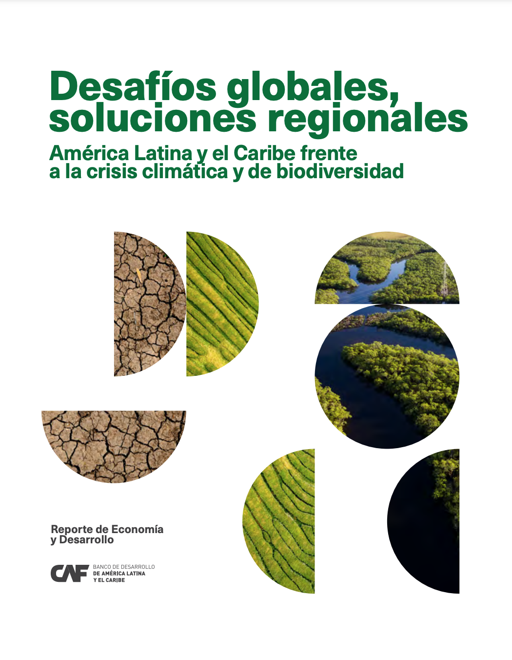 RED: Desafíos globales, soluciones regionales