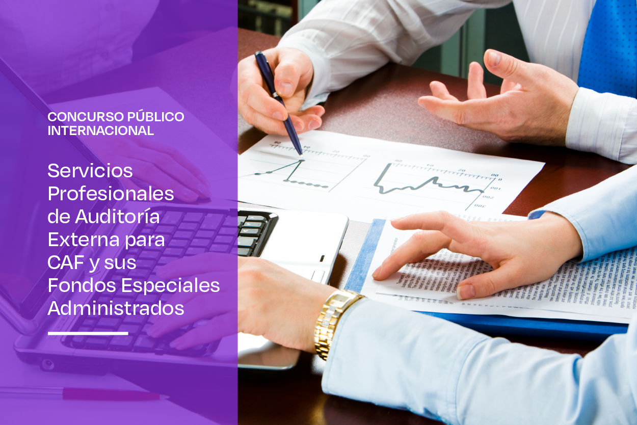 Concurso Público Internacional para Servicios de Auditoría Externa