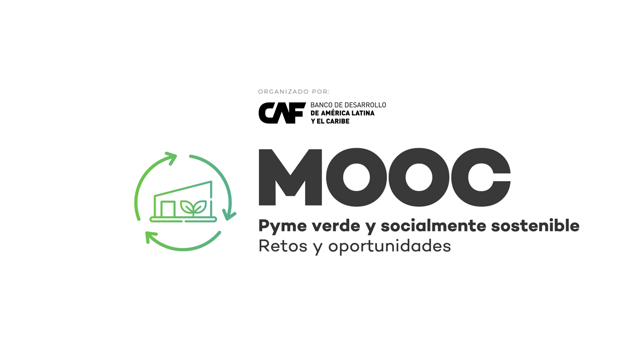 Pyme verde y socialmente sostenible: retos y oportunidades (1º ed)