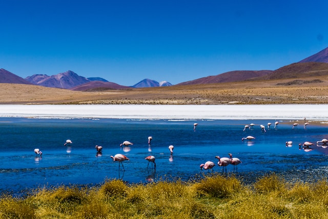 América Latina y el Caribe, región de soluciones al cambio climático