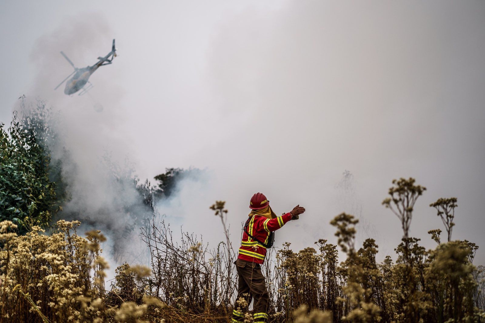 CAF se solidariza com Chile devido aos incêndios florestais