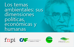 Environmental issues: their political economic and human dimensions