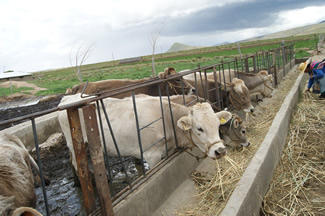 Twelve Bio-Input Production Centers Are Inaugurated In The La Paz-Oruro Double-Line Highway 