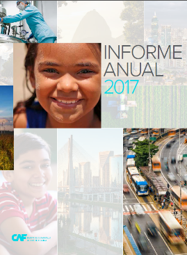 Informe anual 2017