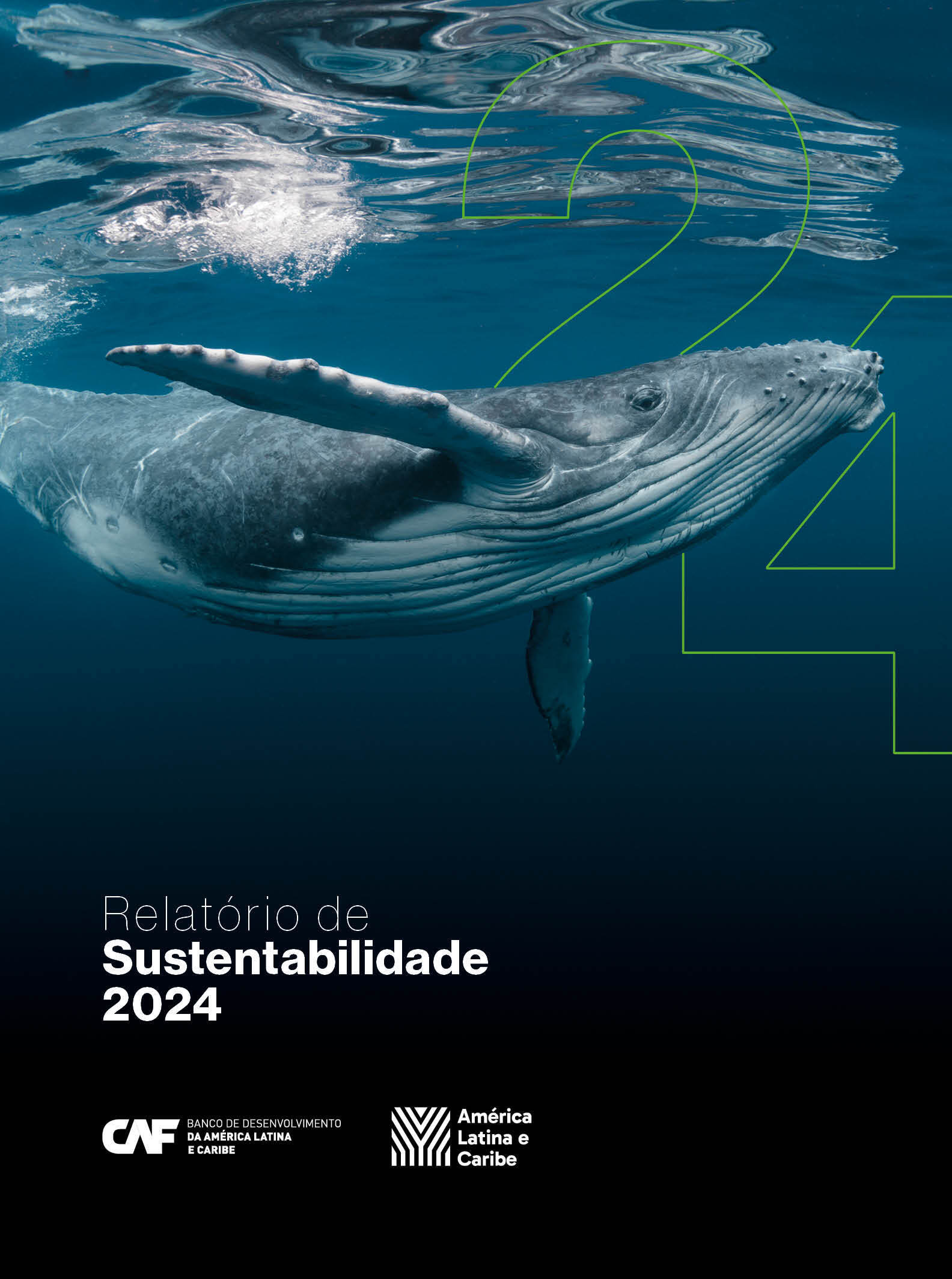 Relatório de Sustentabilidade 2024