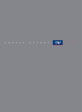 Annual Report 2007